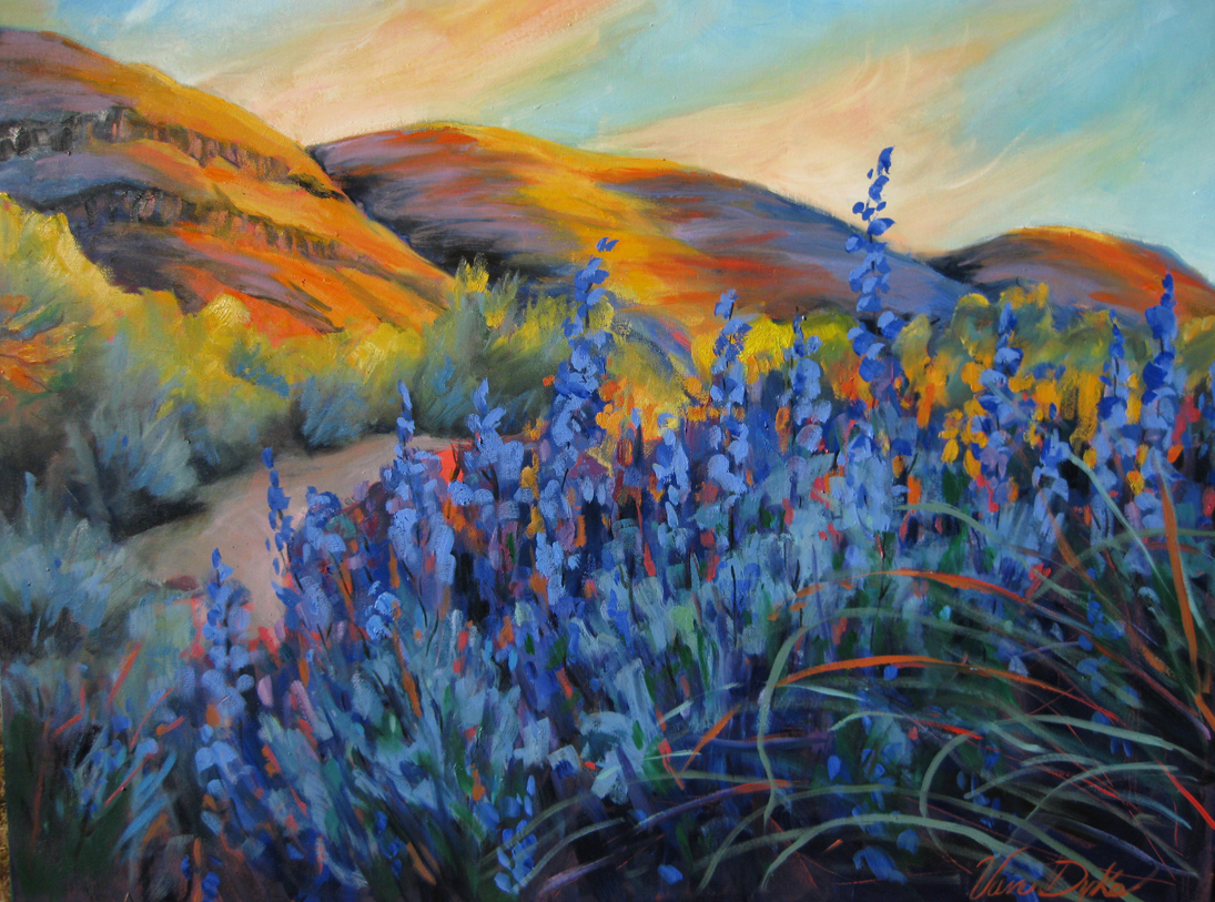 Canyon Lupine